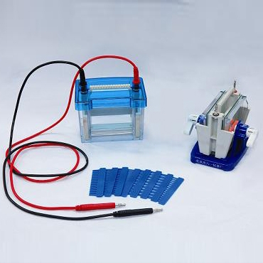 北京六一迷你雙垂直電泳槽DYCZ-24DN