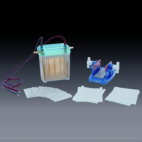 北京六一雙垂直電泳槽DYCZ-24EN