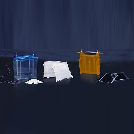 北京六一雙垂直電泳槽DYCZ-24F