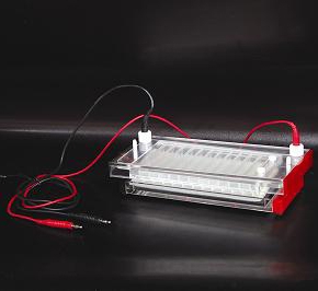 北京六一快速凝膠電泳槽DYCP-44N