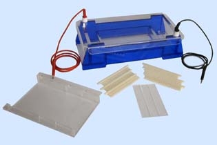 北京六一瓊脂糖水平電泳槽DYCP-33B