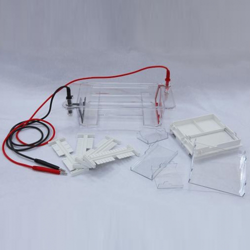 北京六一瓊脂糖水平電泳槽DYCP-31DN