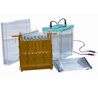 北京六一雙向電泳槽DYCZ-26C