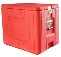 北京福意聯(lián)2-8℃藥品冷藏箱FYL-BW-50L