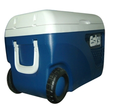 北京福意聯(lián)2-8℃藥品冷藏箱FYL-BW-65L