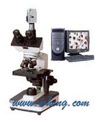 上海萬衡電腦型生物顯微鏡XSP4C
