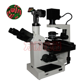 上海萬衡數(shù)碼型倒置生物顯微鏡XDS3D
