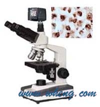 上海萬衡數(shù)碼型生物顯微鏡XSP3D
