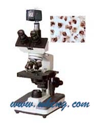 上海萬衡數(shù)碼型生物顯微鏡XSP4D