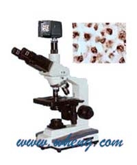 上海萬衡數(shù)碼型生物顯微鏡XSP6D