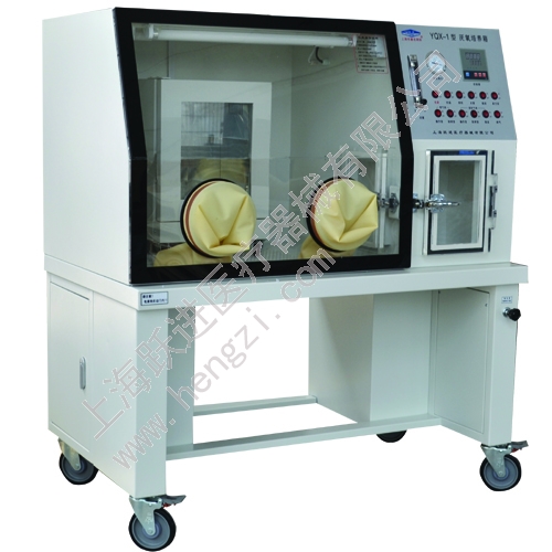 上海躍進(jìn)厭氧培養(yǎng)箱HYQX-I（原型號(hào)YQX-I）