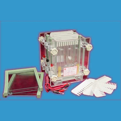 北京六一夾芯式垂直槽DYCZ-28C