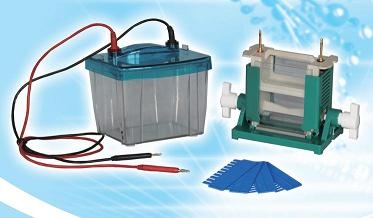 北京六一雙垂直電泳儀DYCZ-25D型(新品)