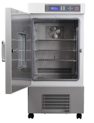 上海施都凱低溫生化培養(yǎng)箱(A型)B1-250A