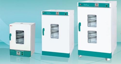 天津泰斯特鼓風干燥箱WGL-45B