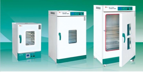 天津泰斯特鼓風(fēng)干燥箱WGLL-230BE