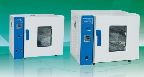 天津泰斯特電熱恒溫干燥箱202-2AB