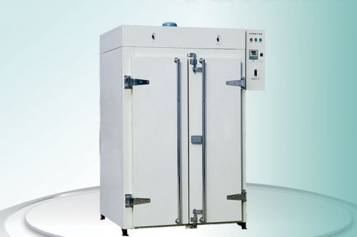 天津泰斯特電熱鼓風(fēng)干燥箱DGF-6AB