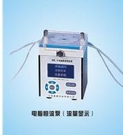 上海嘉鵬電腦數(shù)顯恒流泵DHL-A