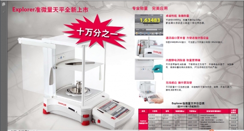 奧豪斯電子天平EX225DZH/AD-半微量天平