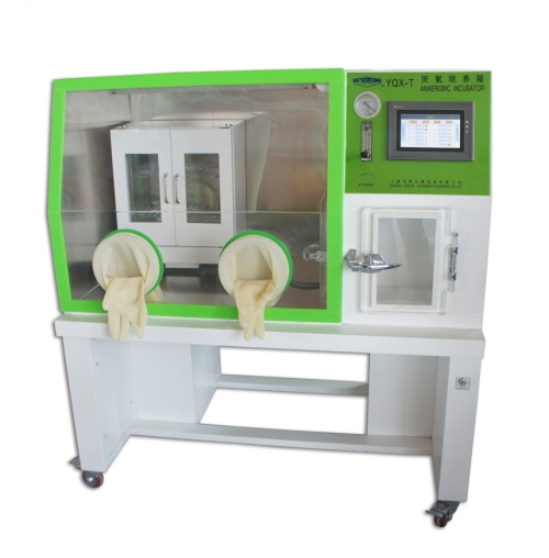 上海龍躍厭氧培養(yǎng)箱YQX-II