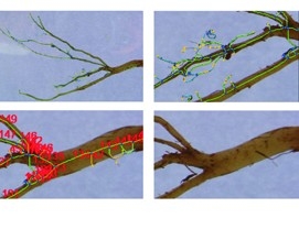 浙江托普根分析系統(tǒng)GXY-A