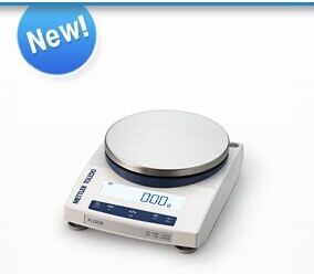 梅特勒電子天平PL6001E