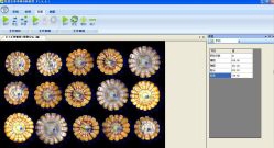 浙江托普玉米考種分析系統(tǒng)TPKZ-1