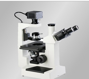 上海締倫倒置生物顯微鏡DXS-1