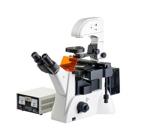 上海締倫倒置熒光顯微鏡DXY-2