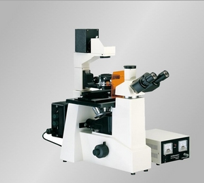 上海締倫倒置熒光顯微鏡DXY-1