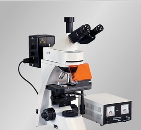 上海締倫落射熒光顯微鏡TL3001