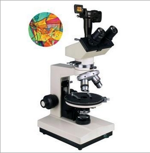 上海締倫反射式偏光顯微鏡XPV-300E
