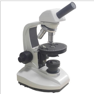 上海締倫偏光顯微鏡XP-200