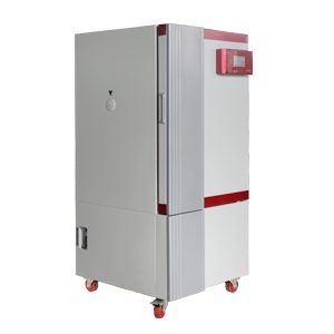 上海博迅藥品強(qiáng)光穩(wěn)定性試驗箱BXG-250