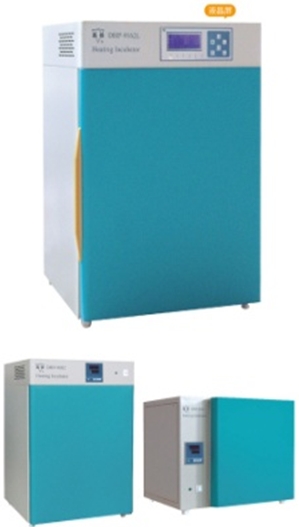 上海申賢電熱恒溫培養(yǎng)箱DHP-9082