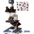 上海萬衡數(shù)碼型生物顯微鏡XSP4D
