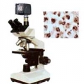 上海萬衡數(shù)碼型生物顯微鏡XSP5D