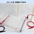 北京六一瓊脂糖水平電泳槽DYCP-32C